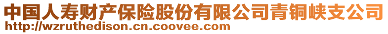 中国人寿财产保险股份有限公司青铜峡支公司