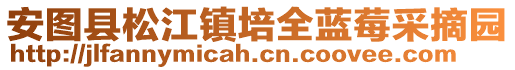 安圖縣松江鎮(zhèn)培全藍(lán)莓采摘園