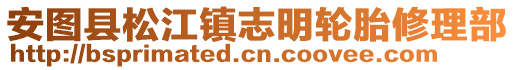 安圖縣松江鎮志明輪胎修理部