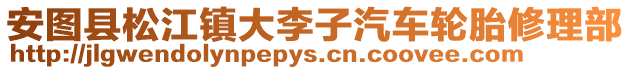 安圖縣松江鎮(zhèn)大李子汽車輪胎修理部