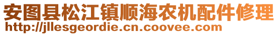 安圖縣松江鎮順海農機配件修理