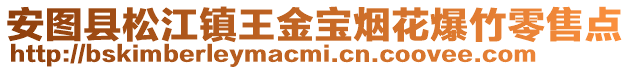 安圖縣松江鎮王金寶煙花爆竹零售點