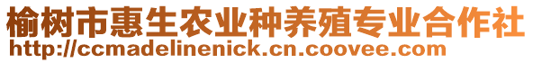 榆樹市惠生農(nóng)業(yè)種養(yǎng)殖專業(yè)合作社