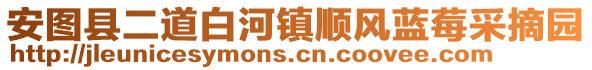 安圖縣二道白河鎮(zhèn)順風(fēng)藍(lán)莓采摘園