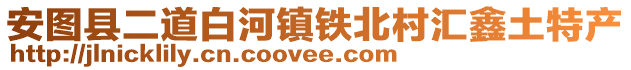 安圖縣二道白河鎮鐵北村匯鑫土特產