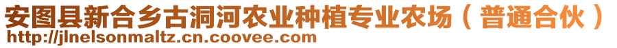 安圖縣新合鄉(xiāng)古洞河農(nóng)業(yè)種植專業(yè)農(nóng)場（普通合伙）