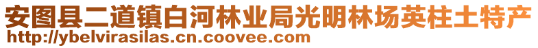 安图县二道镇白河林业局光明林场英柱土特产