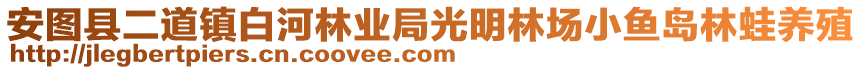 安圖縣二道鎮(zhèn)白河林業(yè)局光明林場(chǎng)小魚(yú)島林蛙養(yǎng)殖