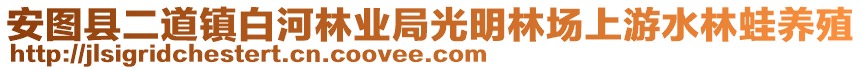 安图县二道镇白河林业局光明林场上游水林蛙养殖