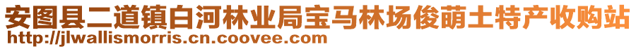 安圖縣二道鎮(zhèn)白河林業(yè)局寶馬林場俊萌土特產(chǎn)收購站