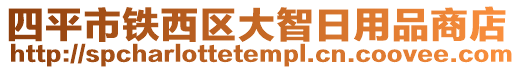 四平市鐵西區(qū)大智日用品商店