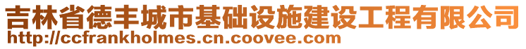 吉林省德豐城市基礎(chǔ)設(shè)施建設(shè)工程有限公司