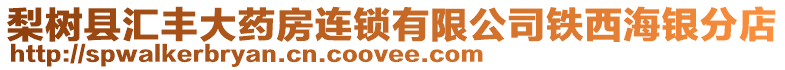 梨樹縣匯豐大藥房連鎖有限公司鐵西海銀分店