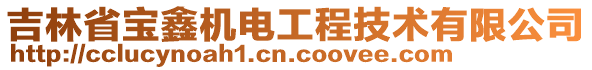 吉林省寶鑫機(jī)電工程技術(shù)有限公司