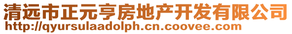 清遠(yuǎn)市正元亨房地產(chǎn)開發(fā)有限公司