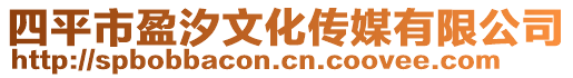 四平市盈汐文化傳媒有限公司