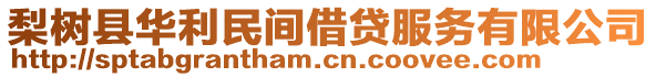 梨樹縣華利民間借貸服務(wù)有限公司