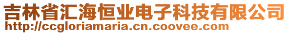 吉林省匯海恒業(yè)電子科技有限公司