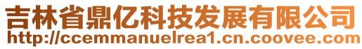 吉林省鼎億科技發(fā)展有限公司