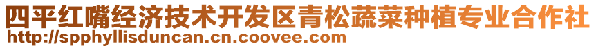 四平紅嘴經(jīng)濟技術(shù)開發(fā)區(qū)青松蔬菜種植專業(yè)合作社