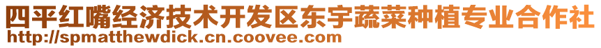 四平紅嘴經濟技術開發(fā)區(qū)東宇蔬菜種植專業(yè)合作社