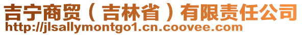 吉寧商貿(mào)（吉林省）有限責任公司