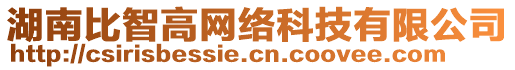 湖南比智高網(wǎng)絡(luò)科技有限公司