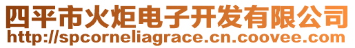 四平市火炬電子開(kāi)發(fā)有限公司