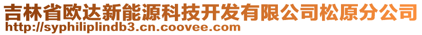 吉林省欧达新能源科技开发有限公司松原分公司