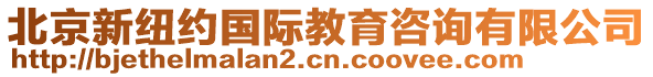 北京新紐約國際教育咨詢有限公司