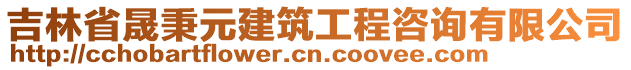 吉林省晟秉元建筑工程咨詢有限公司