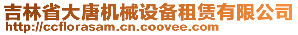 吉林省大唐機(jī)械設(shè)備租賃有限公司