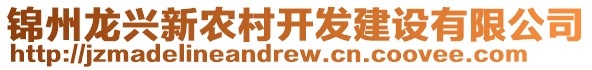 錦州龍興新農(nóng)村開發(fā)建設有限公司