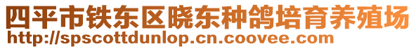 四平市铁东区晓东种鸽培育养殖场