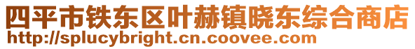 四平市鐵東區(qū)葉赫鎮(zhèn)曉東綜合商店