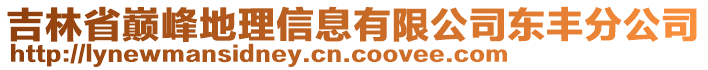 吉林省巔峰地理信息有限公司東豐分公司