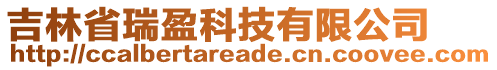 吉林省瑞盈科技有限公司