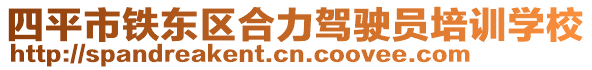 四平市鐵東區(qū)合力駕駛員培訓學校