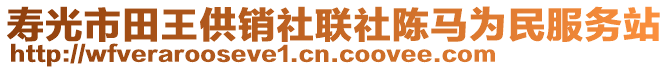 寿光市田王供销社联社陈马为民服务站