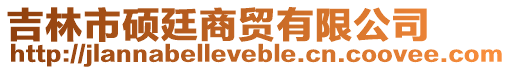 吉林市硕廷商贸有限公司