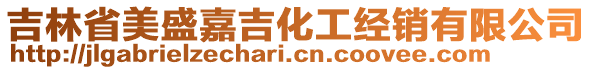 吉林省美盛嘉吉化工經(jīng)銷有限公司