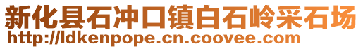 新化县石冲口镇白石岭采石场