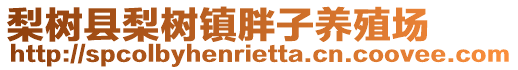 梨树县梨树镇胖子养殖场