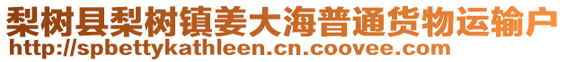 梨樹縣梨樹鎮(zhèn)姜大海普通貨物運(yùn)輸戶