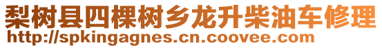 梨樹縣四棵樹鄉(xiāng)龍升柴油車修理