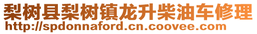 梨樹縣梨樹鎮(zhèn)龍升柴油車修理