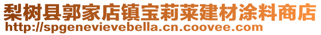 梨樹縣郭家店鎮(zhèn)寶莉萊建材涂料商店