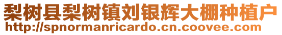 梨樹縣梨樹鎮劉銀輝大棚種植戶