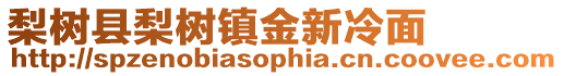 梨樹縣梨樹鎮金新冷面