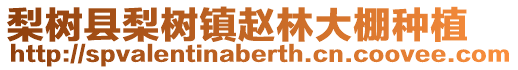 梨樹縣梨樹鎮趙林大棚種植